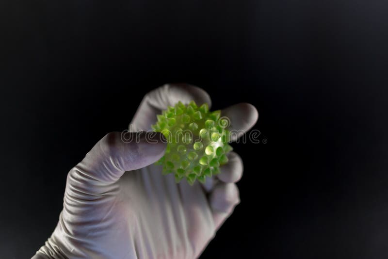 Medical hand in latex holding a large green virus shape with copyspace room. Medical hand in latex holding a large green virus shape with copyspace room