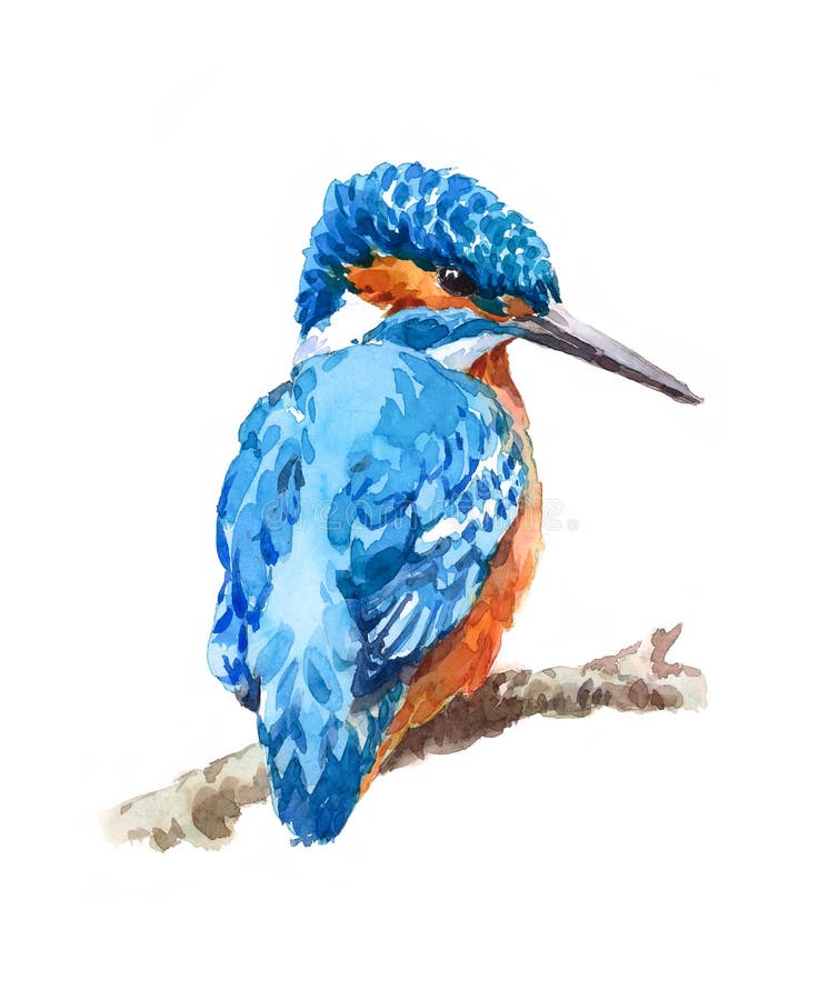 Mão da ilustração da aquarela do pássaro do martinho pescatore tirada ilustração stock Mão da ilustração da aquarela do pássaro do martinho pescatore tirada ilustração stock