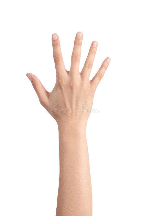 Mão da mulher que mostra os cinco dedos