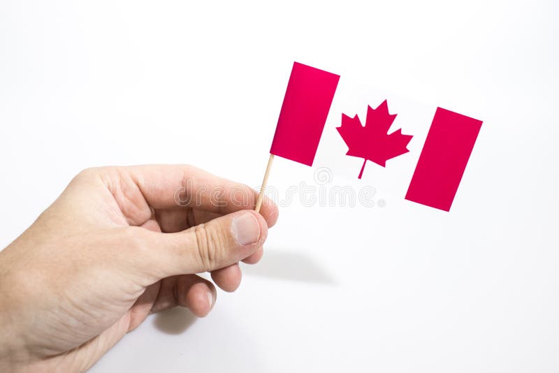 A mão está mantendo a bandeira canadense isolada em um fundo branco imagens de stock royalty free A mão está mantendo a bandeira canadense isolada em um fundo branco imagens de stock royalty free
