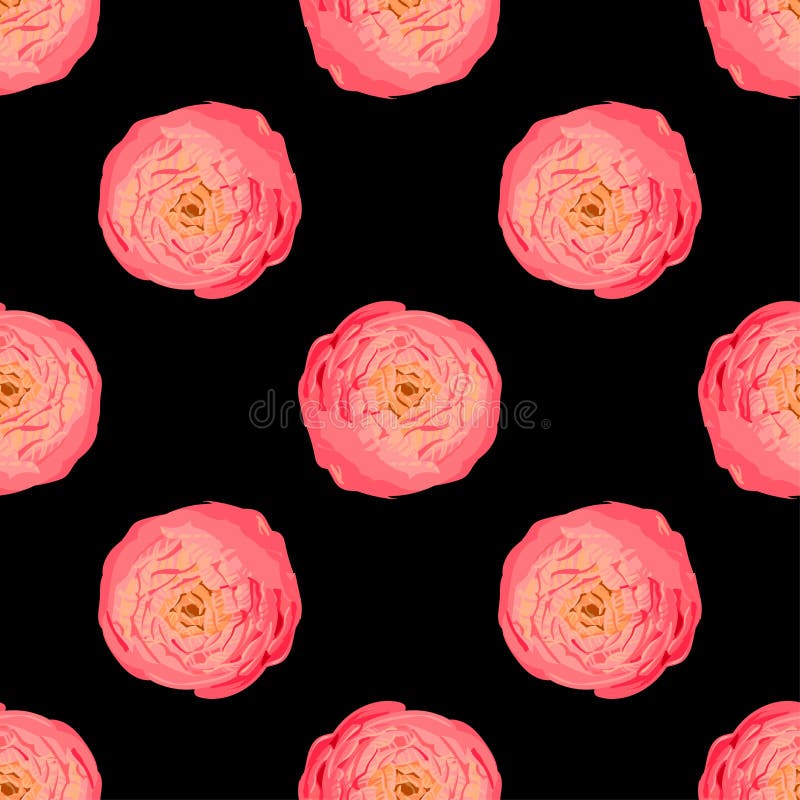 Mão floral sem emenda teste padrão tirado Botões cor-de-rosa saturados bonitos da peônia no preto Fundo botânico do vetor para a ilustração royalty free Mão floral sem emenda teste padrão tirado Botões cor-de-rosa saturados bonitos da peônia no preto Fundo botânico do vetor para a ilustração royalty free