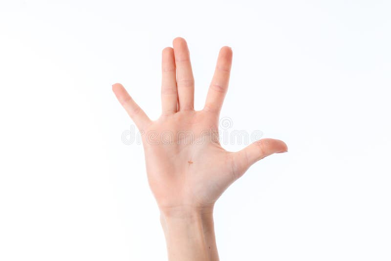 Mão fêmea esticada acima com os dedos aumentados e as palmas isoladas no fundo branco