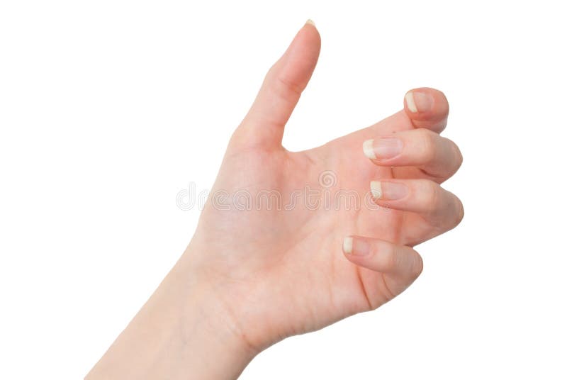 Mão fêmea que guarda algo com a palma isolada no branco