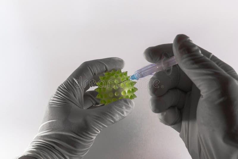 Two latex clad hands injecting a hypodermic syringe into a large green virus on white background. Two latex clad hands injecting a hypodermic syringe into a large green virus on white background