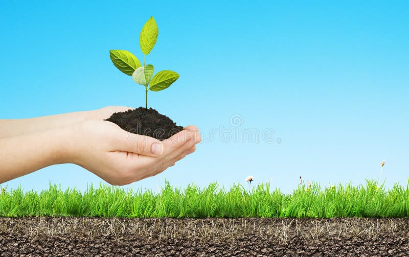 Mãos da criança com árvore ilustração stock