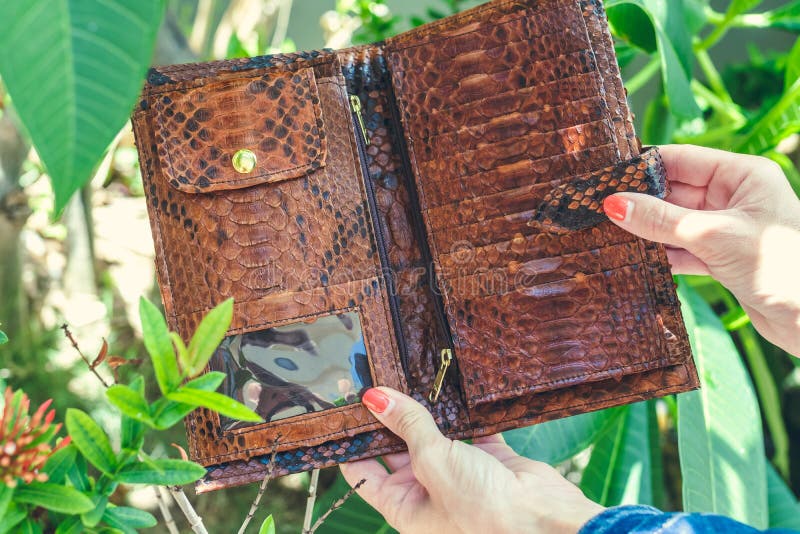 Mãos fêmeas à moda que guardam a carteira luxuosa do pitão do snakeskin Mulheres elegantes acessórias Fundo tropical, Bali fotos de stock Mãos fêmeas à moda que guardam a carteira luxuosa do pitão do snakeskin Mulheres elegantes acessórias Fundo tropical, Bali fotos de stock