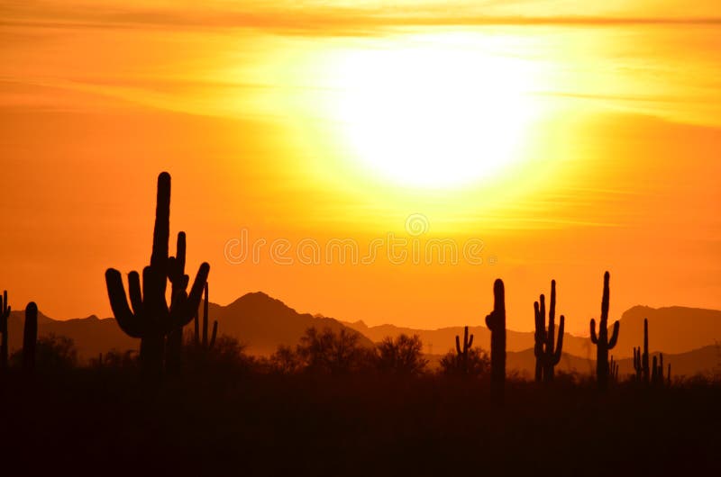 Mãos guardadas ao céu, grupos do deus de Sun, deserto de Sonoran: Vale do Sun