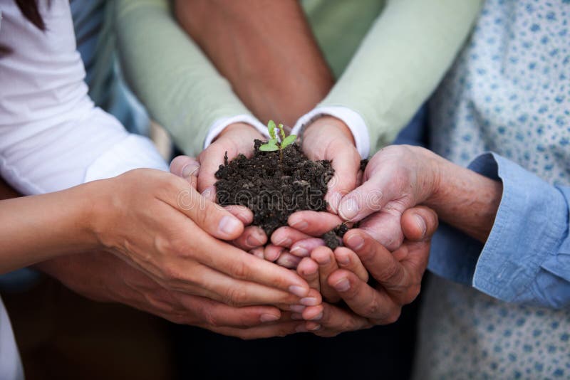 Group of people of all ages holding a plant in dirt. Group of people of all ages holding a plant in dirt