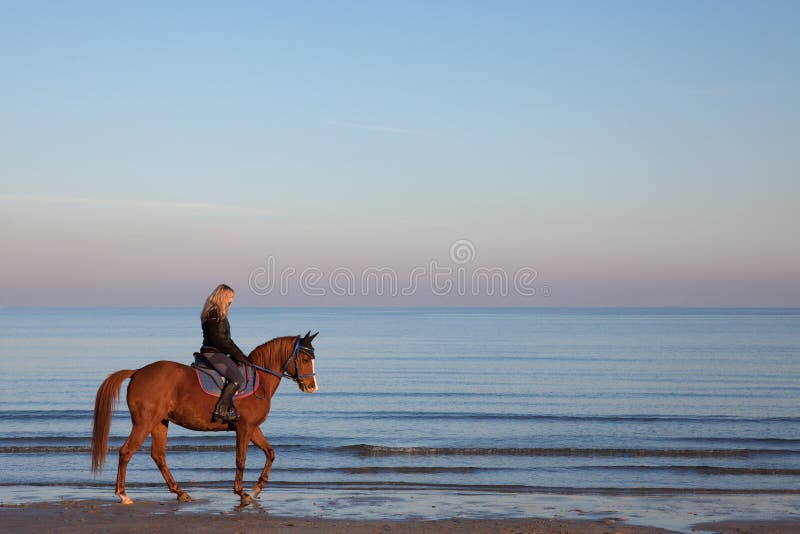 Mädchen, das ein Pferd reitet stockfotografie Mädchen, das ein Pferd reitet stockfotografie