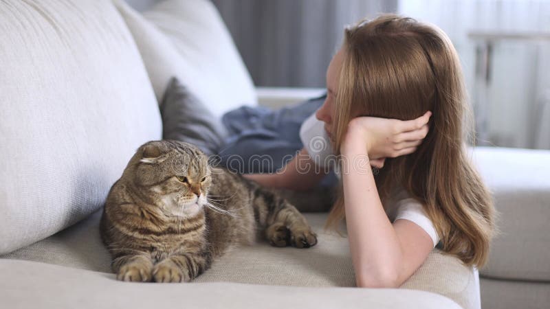 Mädchen, das eine Katze auf dem Sofa streichelt. Urlaub mit Ihrem Lieblingstier