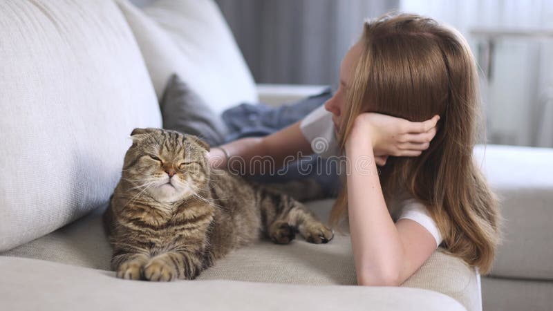 Mädchen, das eine Katze auf dem Sofa streichelt. Urlaub mit Ihrem Lieblingstier.