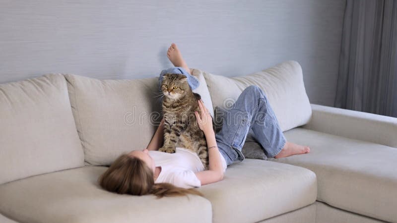 Mädchen, das eine Katze auf dem Sofa streichelt. Urlaub mit Ihrem Lieblingstier