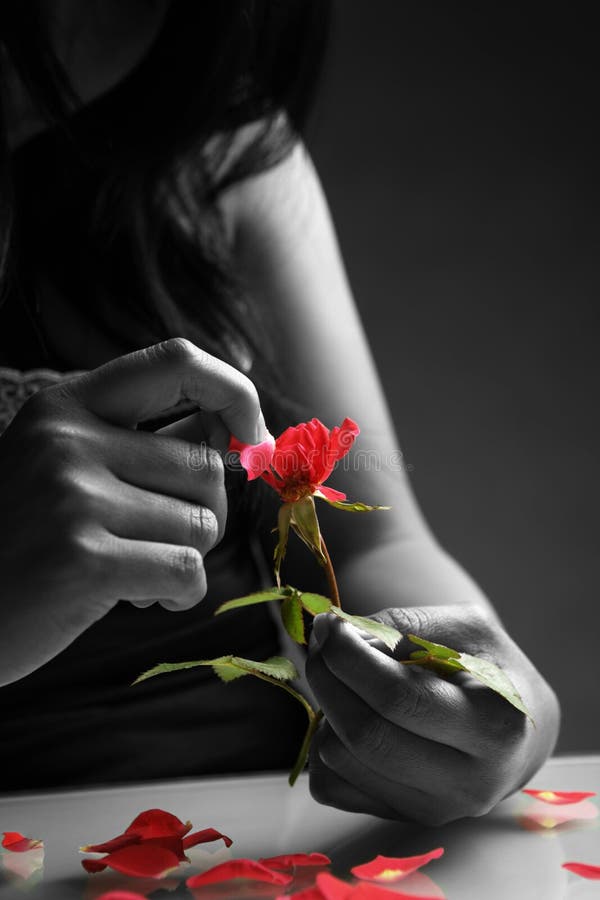 Broken heart girl picking rose petals in black and white except the rose. Broken heart girl picking rose petals in black and white except the rose