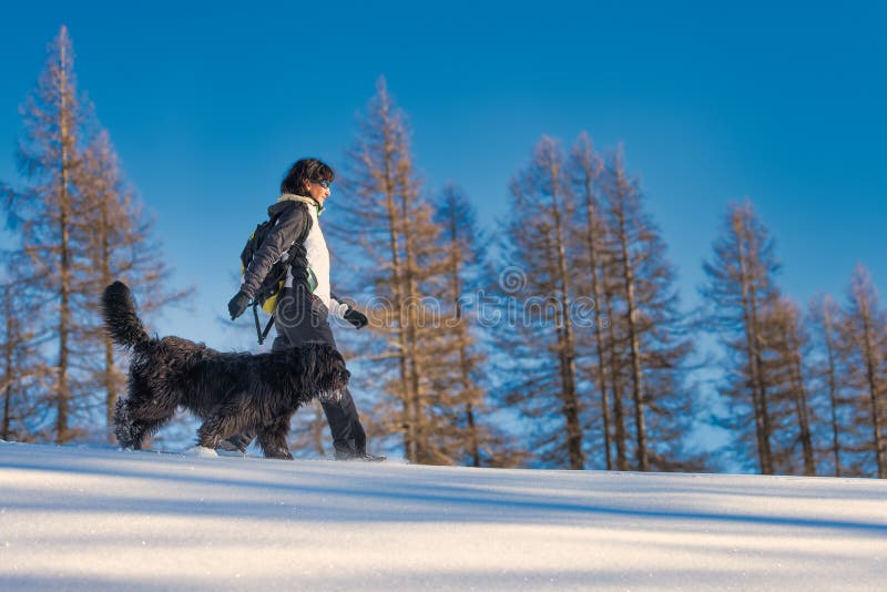 Mädchen geht mit ihrem Hund im Schnee spazieren stockfoto Mädchen geht mit ihrem Hund im Schnee spazieren stockfoto