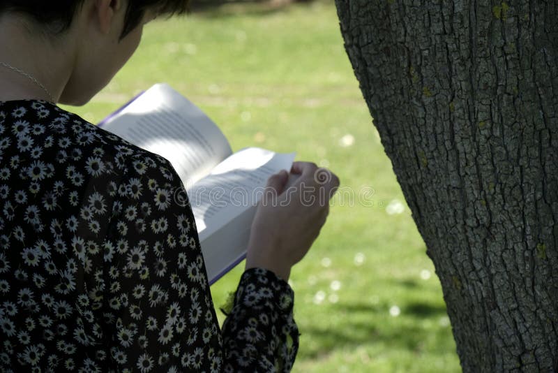 Mädchen liest Buch im Park stockbild Mädchen liest Buch im Park stockbild