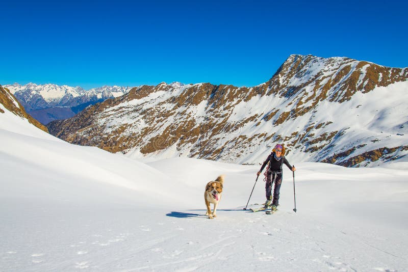 Mädchen macht Skibergsteigen mit Hund lizenzfreies stockfoto Mädchen macht Skibergsteigen mit Hund lizenzfreies stockfoto