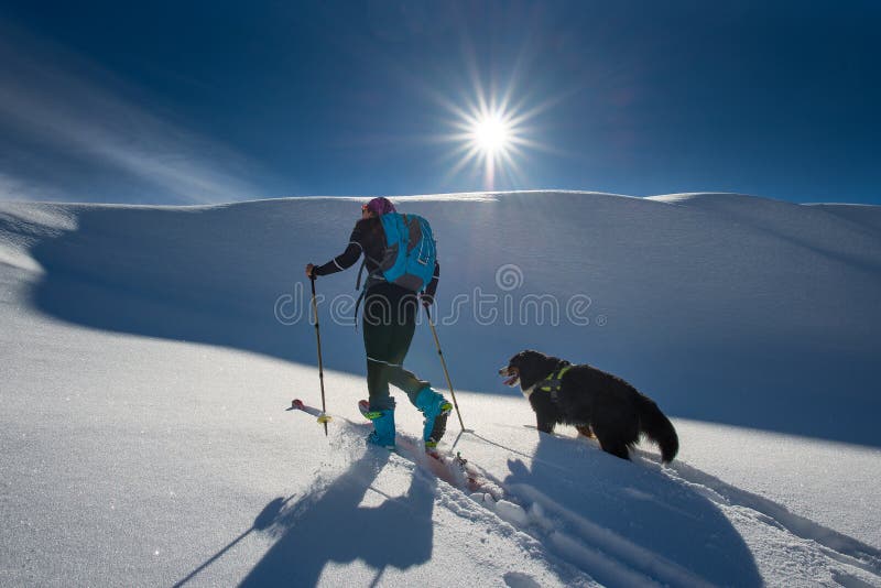Mädchen macht Skibergsteigen mit seinem Hund stockfotos Mädchen macht Skibergsteigen mit seinem Hund stockfotos