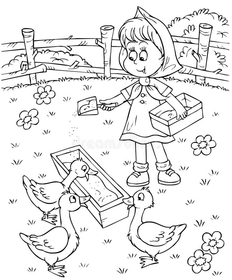 Black-and-white illustration (coloring page): small girl feeds ducks on a farm. Black-and-white illustration (coloring page): small girl feeds ducks on a farm