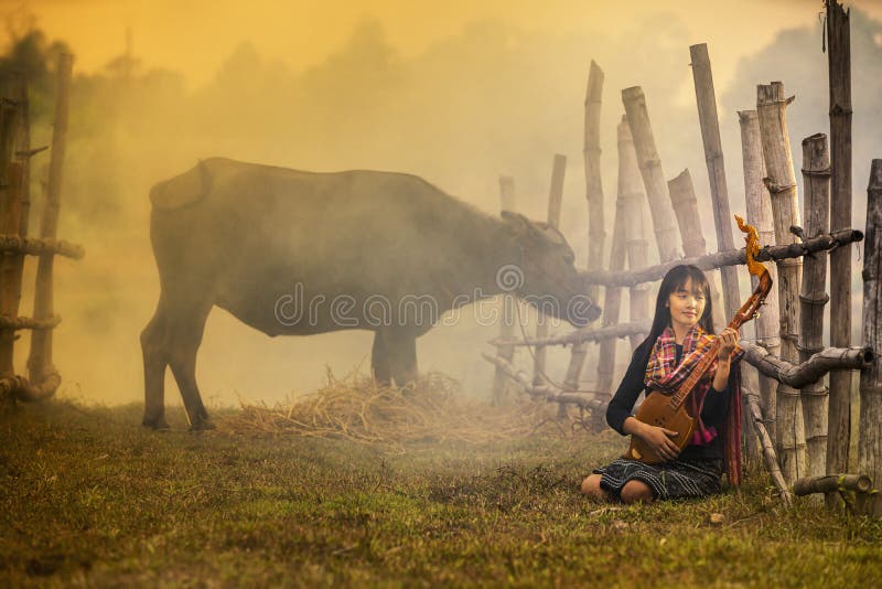 Mädchen spielen Musik auf dem Reisfeld des Büffels Ländliche Frauen spielen Mandoline-Gitarre auf dem Land in Asien stockfoto Mädchen spielen Musik auf dem Reisfeld des Büffels Ländliche Frauen spielen Mandoline-Gitarre auf dem Land in Asien stockfoto