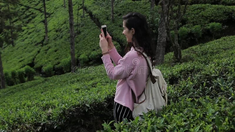 Mädchentourist macht ein Foto einer Teeplantage stock video footage Mädchentourist macht ein Foto einer Teeplantage stock video footage