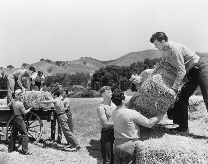 Männer, die an einem Bauernhofladenheu arbeiten (alle dargestellten Personen sind nicht längeres lebendes und kein Zustand existi stockfotos Männer, die an einem Bauernhofladenheu arbeiten (alle dargestellten Personen sind nicht längeres lebendes und kein Zustand existi stockfotos