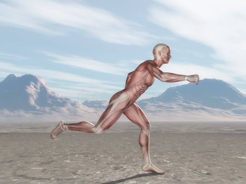 Männerfigur 3D mit Muskelkartenbetrieb in der Landschaft lizenzfreie abbildung Männerfigur 3D mit Muskelkartenbetrieb in der Landschaft lizenzfreie abbildung