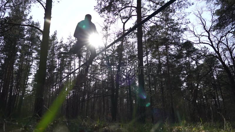 Människan som hoppar och gör trick på slackline i skogen i långsam rörelse lager videofilmer