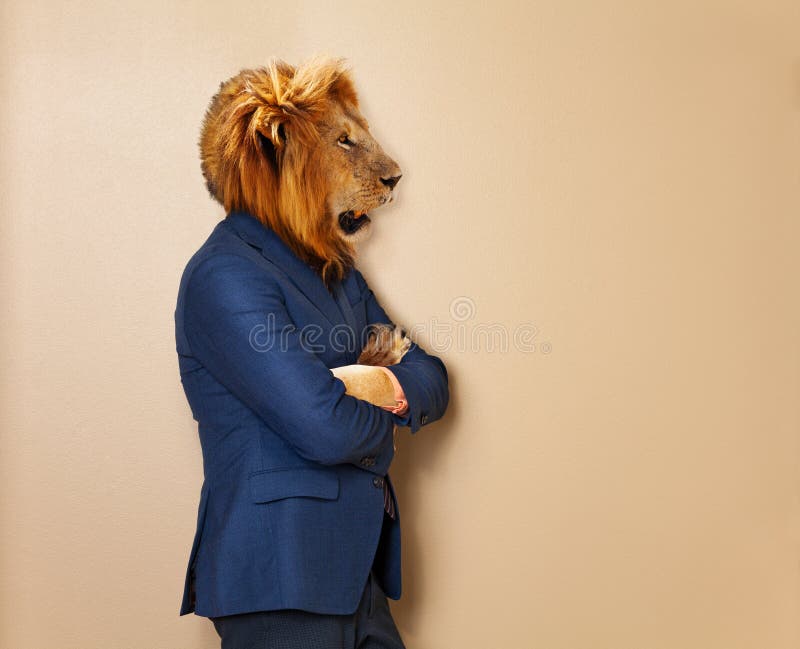 Männlicher Löwe im Bürokleidungsanzug und -hemd stockbild Männlicher Löwe im Bürokleidungsanzug und -hemd stockbild