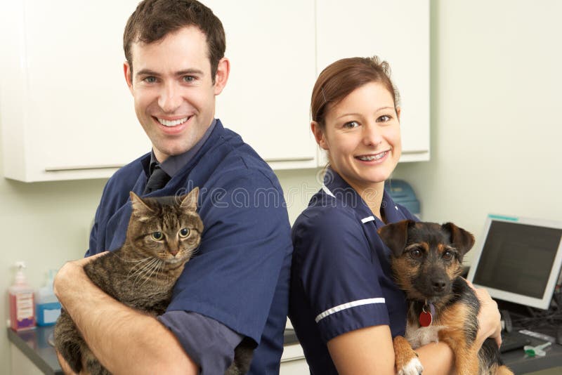 Männlicher Tierarzt und Krankenschwester