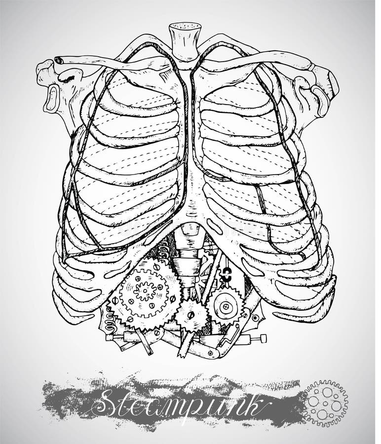 Mänsklig anatomibröstkorg med tappningmekanismen i stöd i ångapunkrockstil royaltyfri illustrationer Mänsklig anatomibröstkorg med tappningmekanismen i stöd i ångapunkrockstil royaltyfri illustrationer