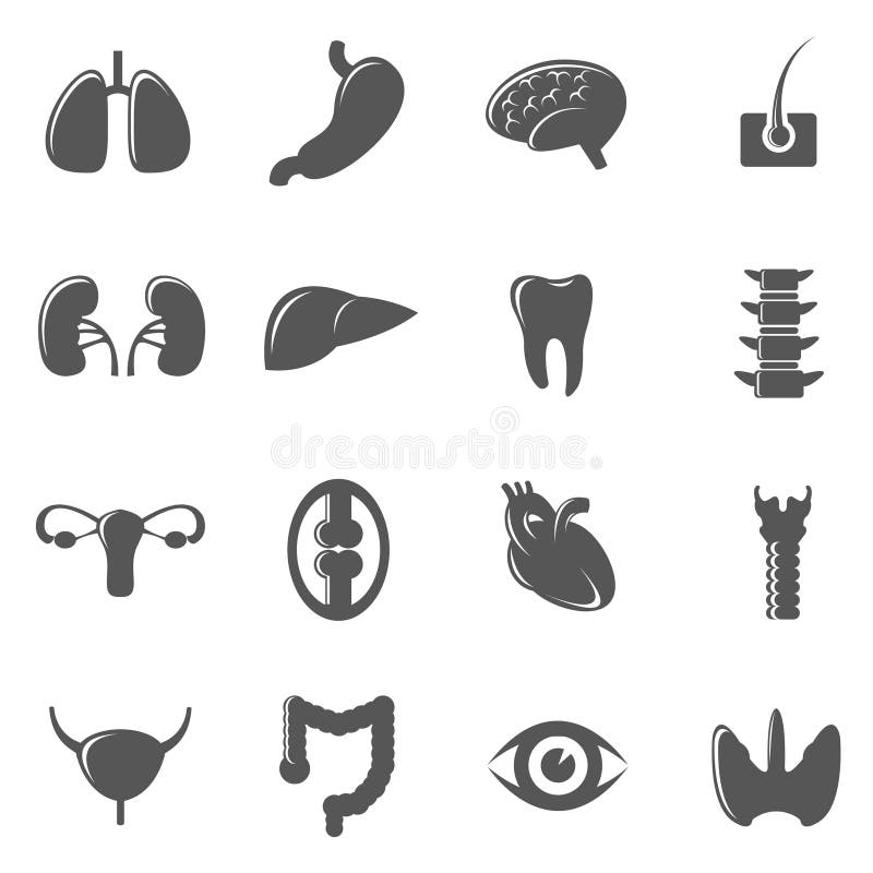 Mänsklig för symbolsvektor för inre organ svart uppsättning royaltyfri illustrationer Mänsklig för symbolsvektor för inre organ svart uppsättning royaltyfri illustrationer