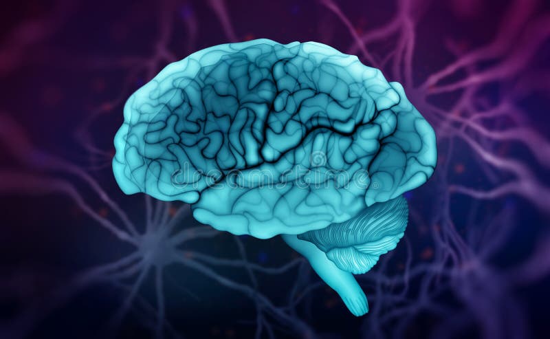 Mänsklig hjärna Neural kommunikation Tankar, intelligens, sinne, kreativitet royaltyfri illustrationer Mänsklig hjärna Neural kommunikation Tankar, intelligens, sinne, kreativitet royaltyfri illustrationer