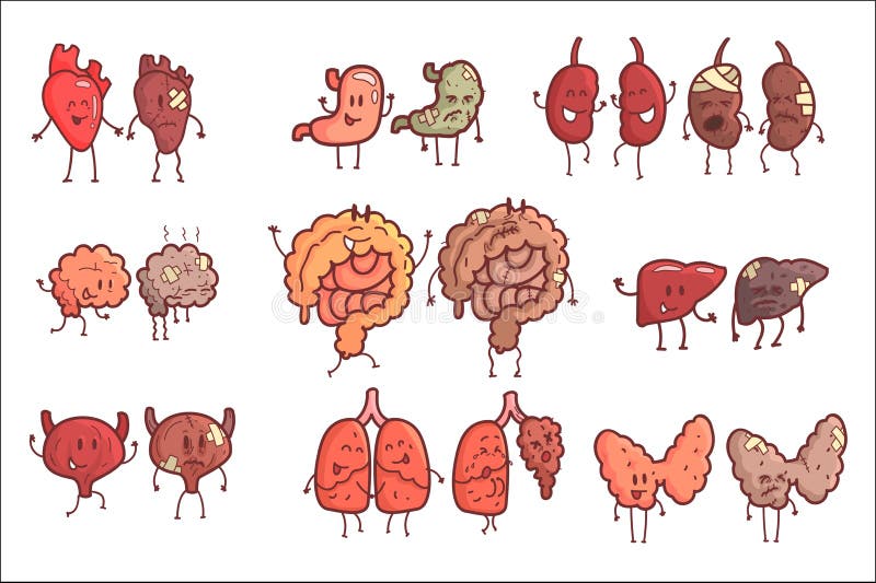 Human Internal Organs Healthy Vs Unhealthy Set Of Medical Anatomic Funny Outlined Comic Character Pairs Of Organism Parts In Comparison Happy Against Sick And Damaged. Vector Illustrations Set With Humanized Intestines, Brain, Liver , Kidneys And Other Anatomic Elements. Human Internal Organs Healthy Vs Unhealthy Set Of Medical Anatomic Funny Outlined Comic Character Pairs Of Organism Parts In Comparison Happy Against Sick And Damaged. Vector Illustrations Set With Humanized Intestines, Brain, Liver , Kidneys And Other Anatomic Elements.
