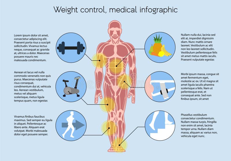 Mäta kroppmass, infographic läkarundersökning vektor illustrationer Mäta kroppmass, infographic läkarundersökning vektor illustrationer