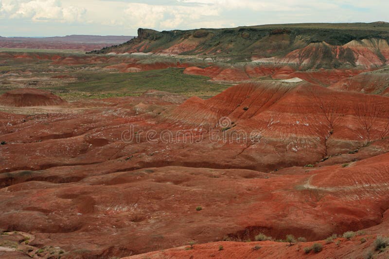 Painted Desert, red and green; northern Arizona. Painted Desert, red and green; northern Arizona