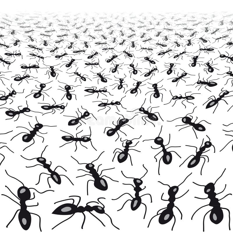 Många myror