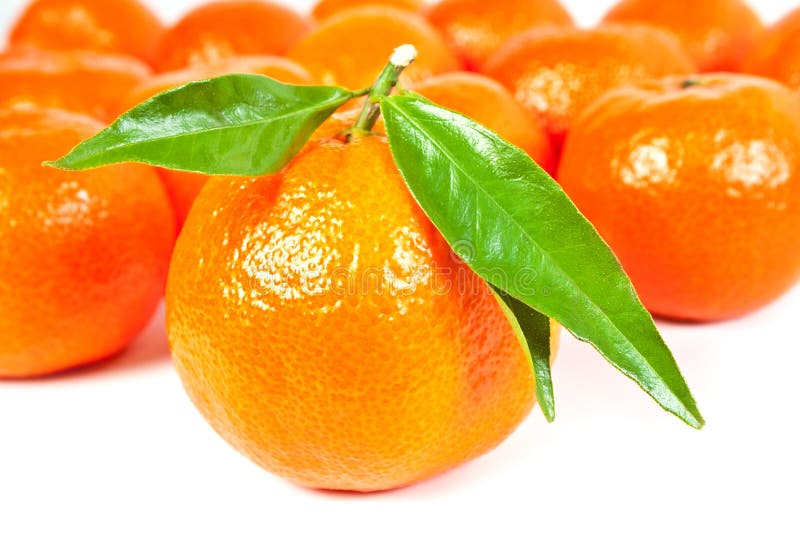 många tangerine arkivfoton många tangerine arkivfoton