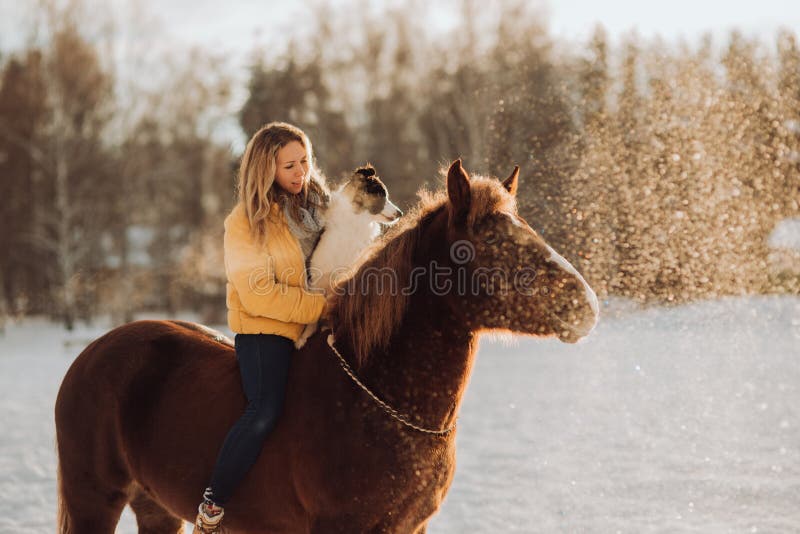 Młoda śliczna kobieta z jej psim Border collie siedzi na koniu w śnieżnym polu na zmierzchu yrllow suknia fotografia stock Młoda śliczna kobieta z jej psim Border collie siedzi na koniu w śnieżnym polu na zmierzchu yrllow suknia fotografia stock