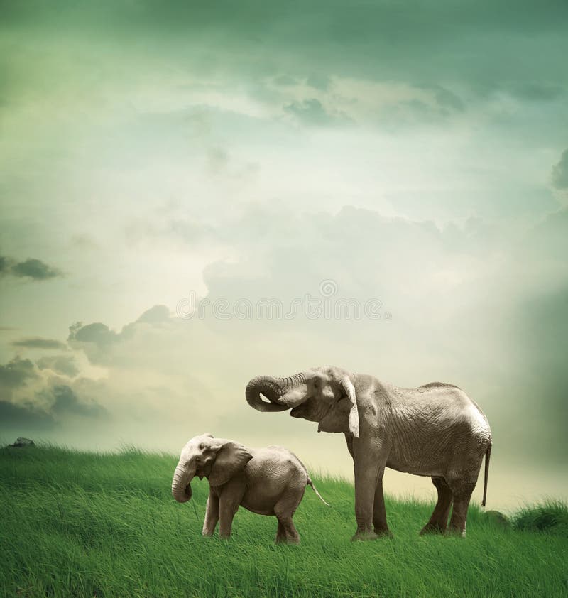 Mère et enfant d'éléphant image libre de droits Mère et enfant d'éléphant image libre de droits