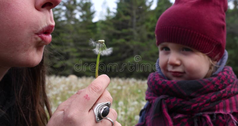 Mère et enfant souffler la tête de semence de pissenlit