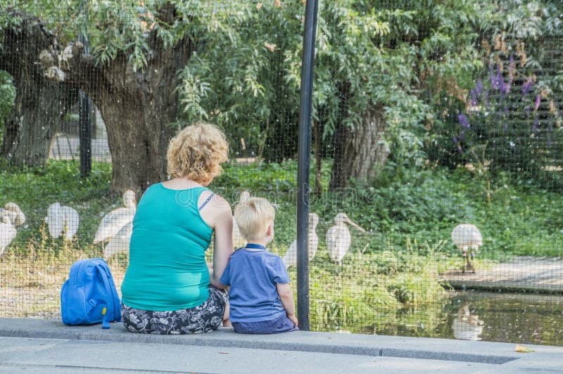 Mère et fils regardant les oiseaux images stock Mère et fils regardant les oiseaux images stock