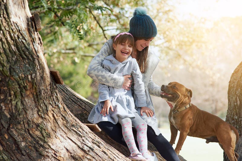 Mère fille et jouer dans le parc avec les animaux de compagnie et le bonheur en hiver. fille de famille et pitbull dans la nature photos stock