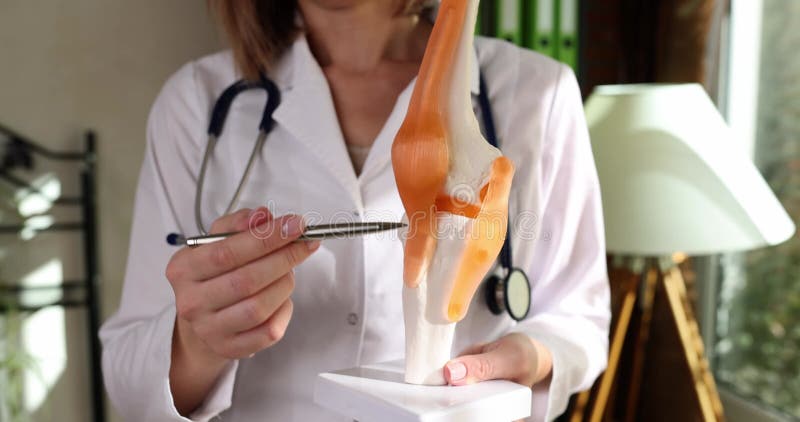 Médecin féminin avec stéthoscope possède le modèle anatomique du genou banque de vidéos