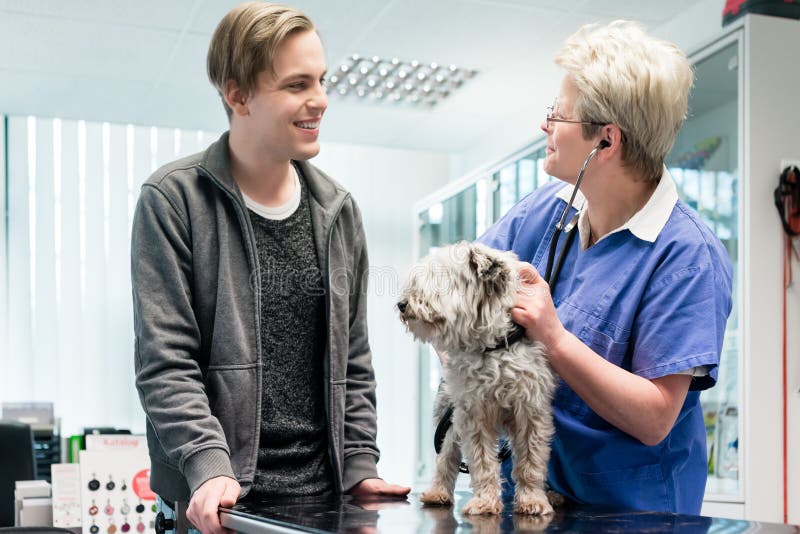 Médica hablando con el dueño del perro imagen de archivo