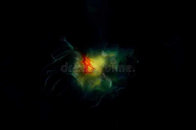 Méduses abstraites colorées rêveuses photographie stock Méduses abstraites colorées rêveuses photographie stock
