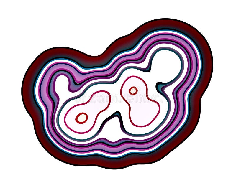 Méiose dans l'étape de Telophase Le processus de la division cellulaire et production des cellules reproductrices illustration stock Méiose dans l'étape de Telophase Le processus de la division cellulaire et production des cellules reproductrices illustration stock