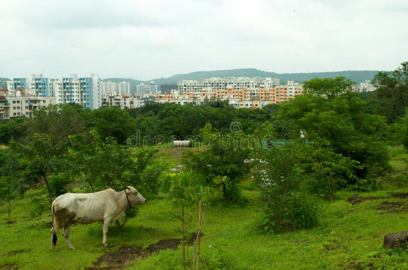 Mélange de ville-Le de Pune d'urbain et rural photos libres de droits Mélange de ville-Le de Pune d'urbain et rural photos libres de droits