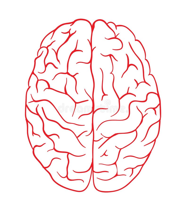 Móżdżkowy logo sylwetki odgórnego widoku projekta wektoru szablon Brainstorm myśli pomysłu logotypu pojęcia ikona royalty ilustracja Móżdżkowy logo sylwetki odgórnego widoku projekta wektoru szablon Brainstorm myśli pomysłu logotypu pojęcia ikona royalty ilustracja