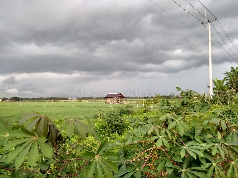 Mörkt svart moln över fältet arkivfoto
