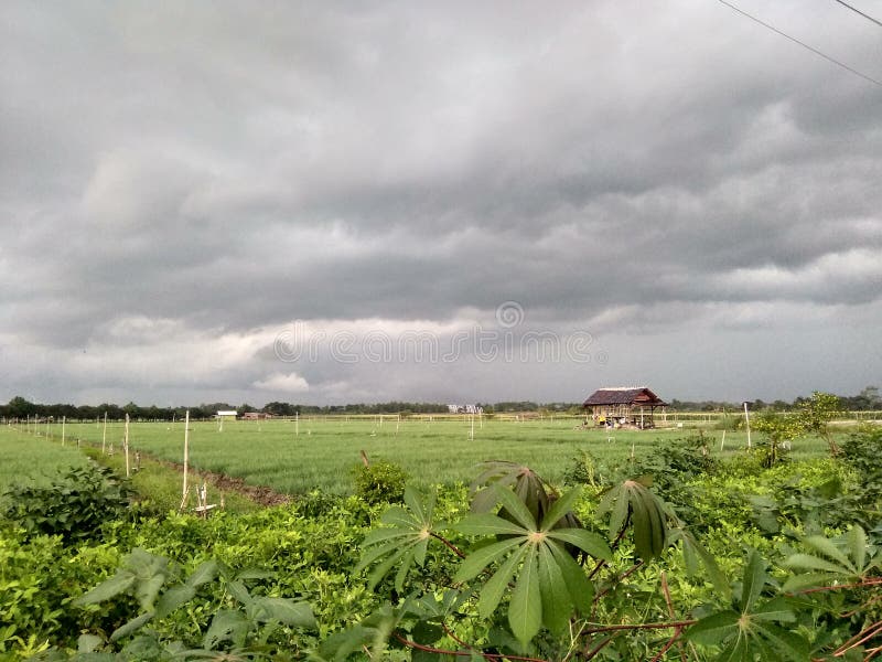 Mörkt svart moln över fältet. royaltyfri bild